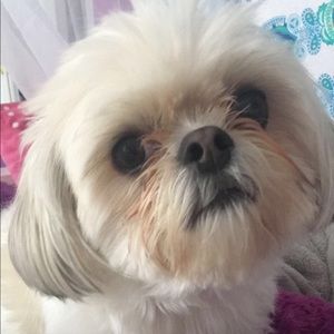 Meet your Posher, Charlene